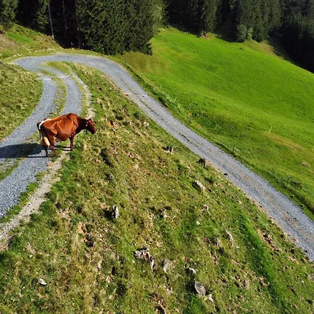 Jaglbauer Inkl Joker Card Im Sommer