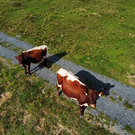 Jaglbauer Inkl Joker Card Im Sommer Appartement *
