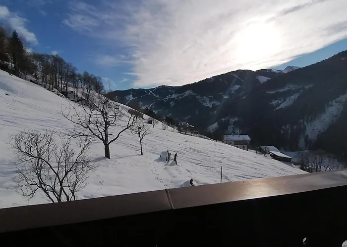 Apartament Jaglbauer Inkl Joker Card Im Sommer *